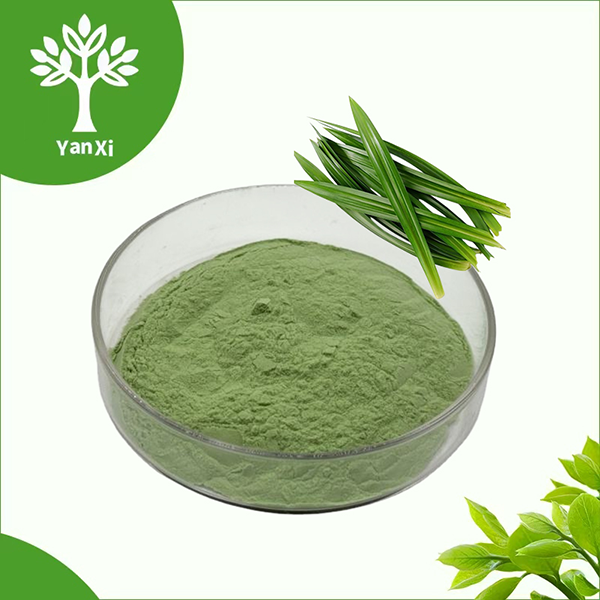 Pandan Leaf Powder Pandan Leaf Powder